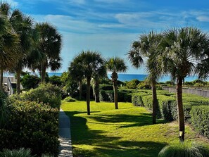 Property grounds - Oceanfront: Sea, Sun, & Sand renovated 1-bed 1-bath condo at Bridgewater (Pawleys Island)