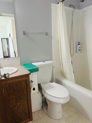 Secadora de cabello, toallas, jabón, papel de baño 