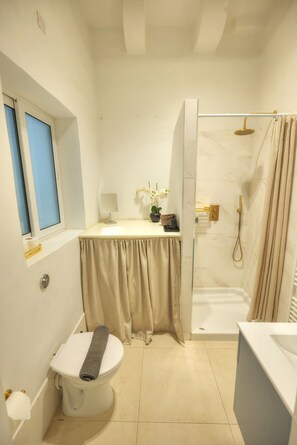 Shower, hair dryer, towels