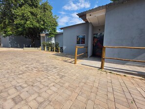 Un patio empedrado con la entrada de un edificio que muestra una puerta con un mural de vida silvestre.