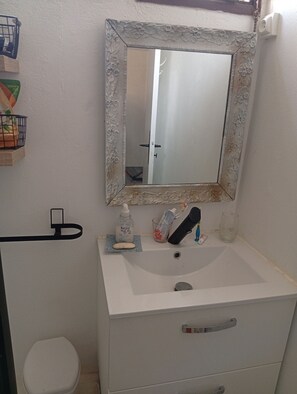 Shower, toilet paper