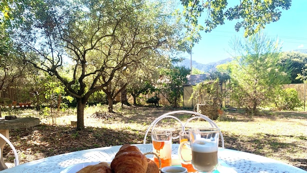 A tray with croissants and a cup of coffee on a table outdoors, with trees and a mountain in the background. - La maison aux oiseaux - Luberon (Oppède)