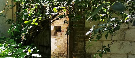 Parco della struttura