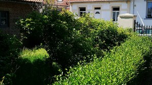 Ein Weg, gesäumt von ordentlich geschnittenen Hecken, der zu einer Reihe von Häusern mit roten Ziegeldächern und weißen Wänden führt.