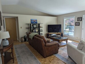 TV connectée, cheminée