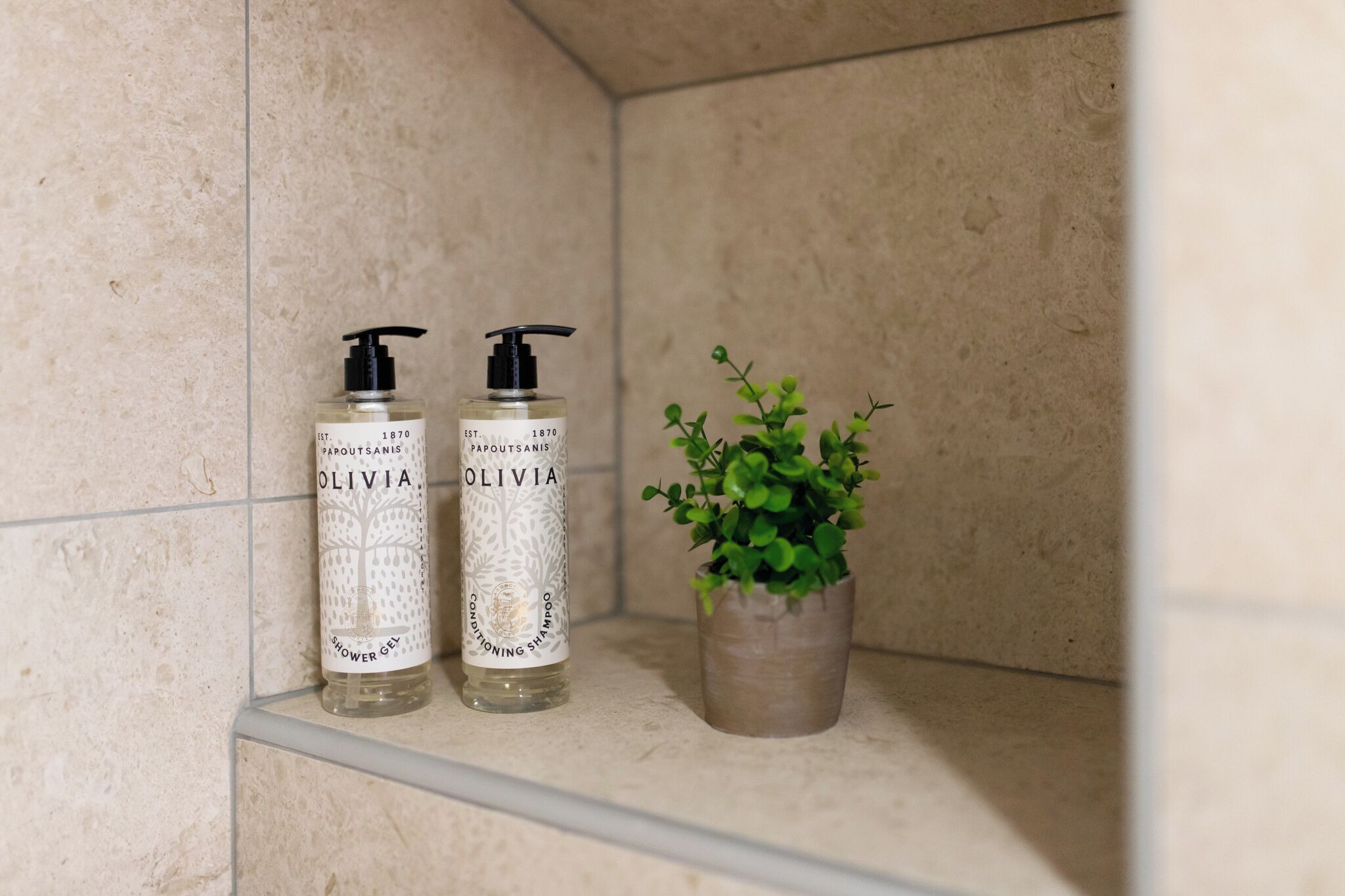 Deux bouteilles de gel douche et une petite plante en pot, posées sur une étagère carrelée.
