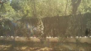 Un jardin avec différentes espèces d’arbres et une clôture.