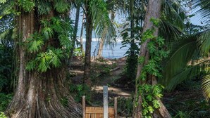 Una verja de madera en un entorno tropical, con árboles grandes y vista al océano.