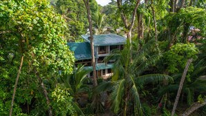 Un edificio de varios pisos rodeado de densa vegetación tropical, con palmeras y diversas plantas verdes.