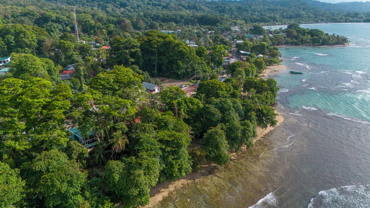 Oversigtsbillede af et kystområde med frodig vegetation, en strand og nogle få bygninger.