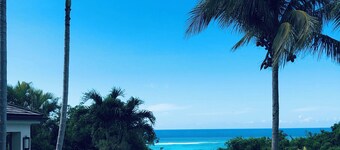 Cima del Mar
(Top of the Sea)

Hilltop, private 180 degree ocean view