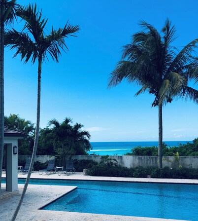 Cima del Mar
(Top of the Sea)

Hilltop, private 180 degree ocean view