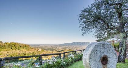 Tuscan Farmhouse With Infinity Pool Retreat