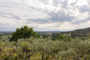 Maison | Vue depuis l’hébergement
