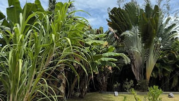 Jardines del alojamiento