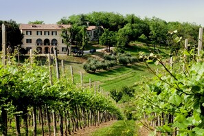 House | Garden