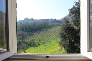 House | View from property