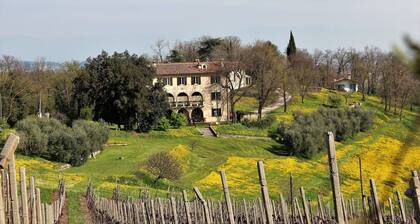 Country Villa in the Euganei Hills, Close to Padua