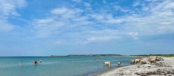 Cottage holiday with peace, nature and.