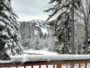 Property grounds - MWP23: Breathtaking views in Bretton Woods, pool passes, discounts! (Bretton Woods)