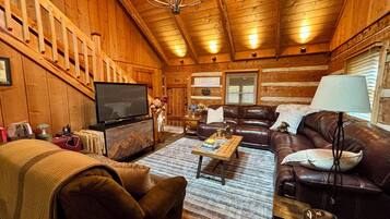 Smart TV, fireplace, DVD player, books