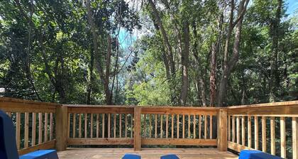 Cozy Contemporary Cabin Near Capitol & TMH