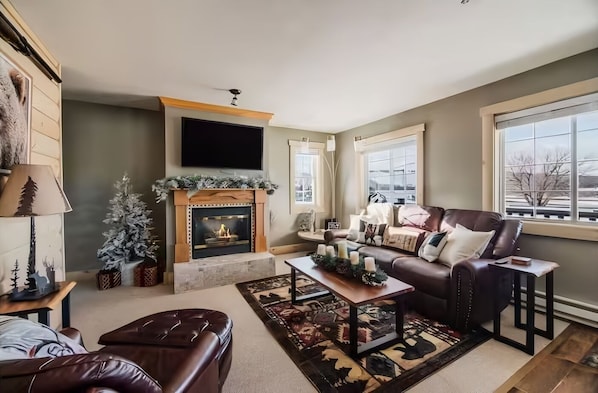 Smart TV, fireplace, books