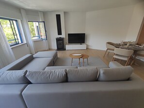 Télévision, cheminée