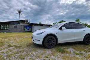 Un coche blanco estacionado en un césped, con un edificio moderno al fondo.