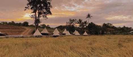 Jardines del alojamiento