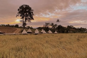 Unclassified image, 3 of 7, button - Casa Camp (Khao Kho)