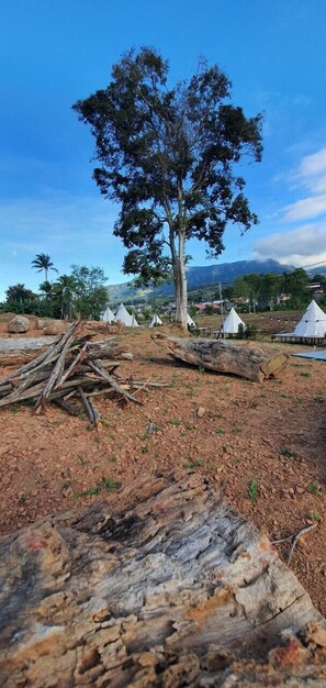 Miscellaneous - Casa Camp (Khao Kho)