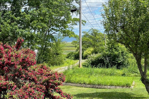 View from the driveway looking at Stover's Beach Preserve-