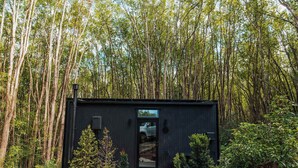 Una cabaña moderna y de color oscuro rodeada de un bosque frondoso.