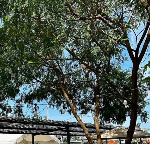 DC Garden Homestay 6 with Netflix, WiFi & Private Balcony in Shah Alam