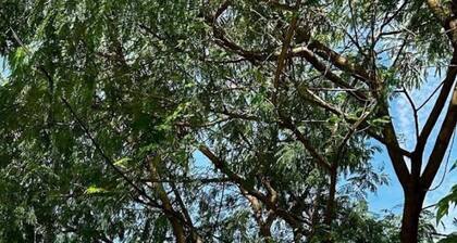 DC Garden Homestay 6 with Netflix, WiFi & Private Balcony in Shah Alam