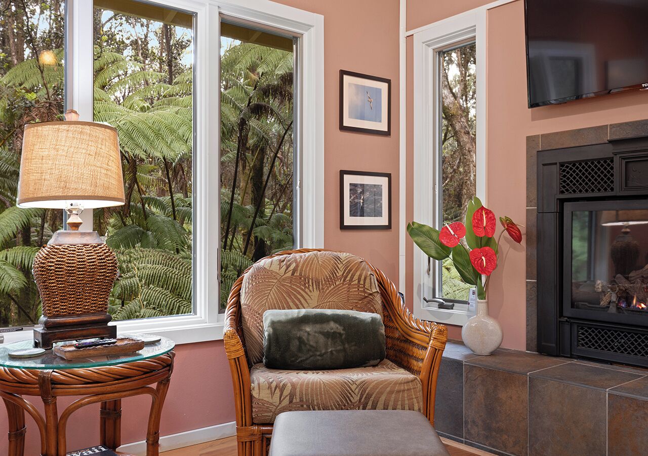 Smart-TV, Kamin, Bücher