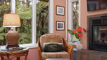 Smart TV, fireplace, books