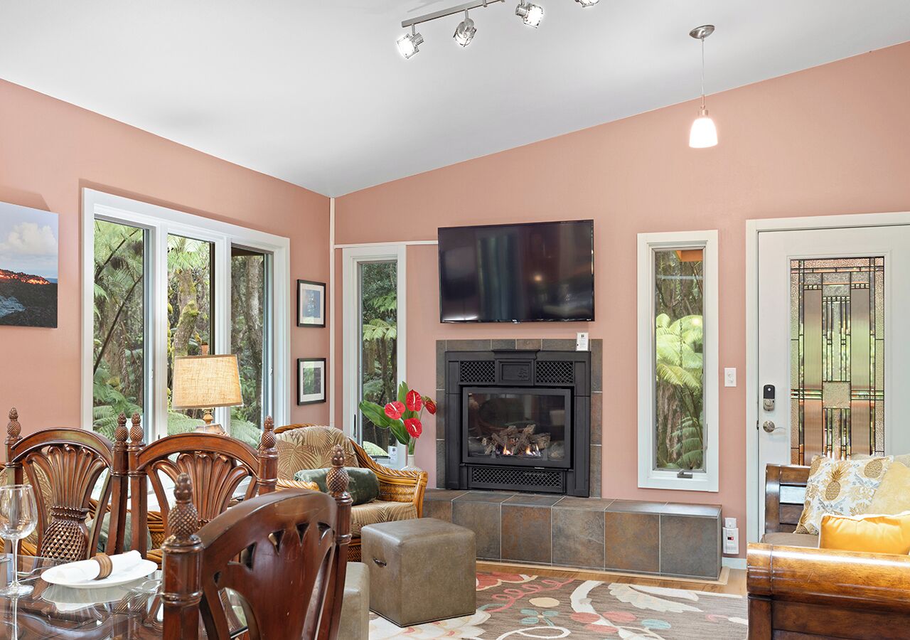 Smart TV, fireplace, books