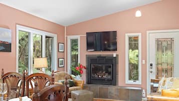 Smart TV, fireplace, books