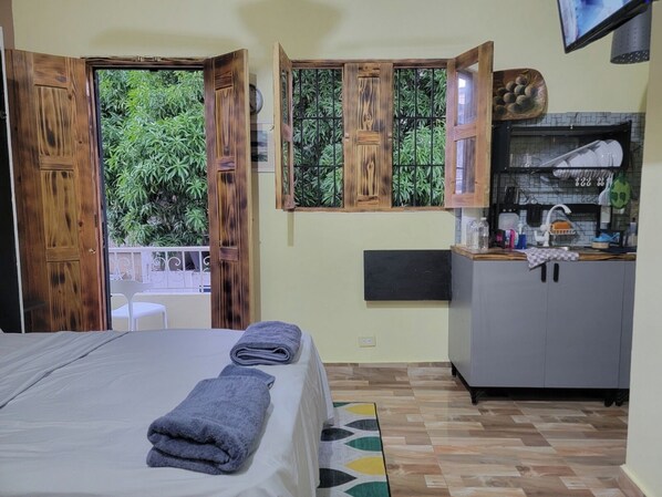 1 bedroom, iron/ironing board, WiFi, bed sheets