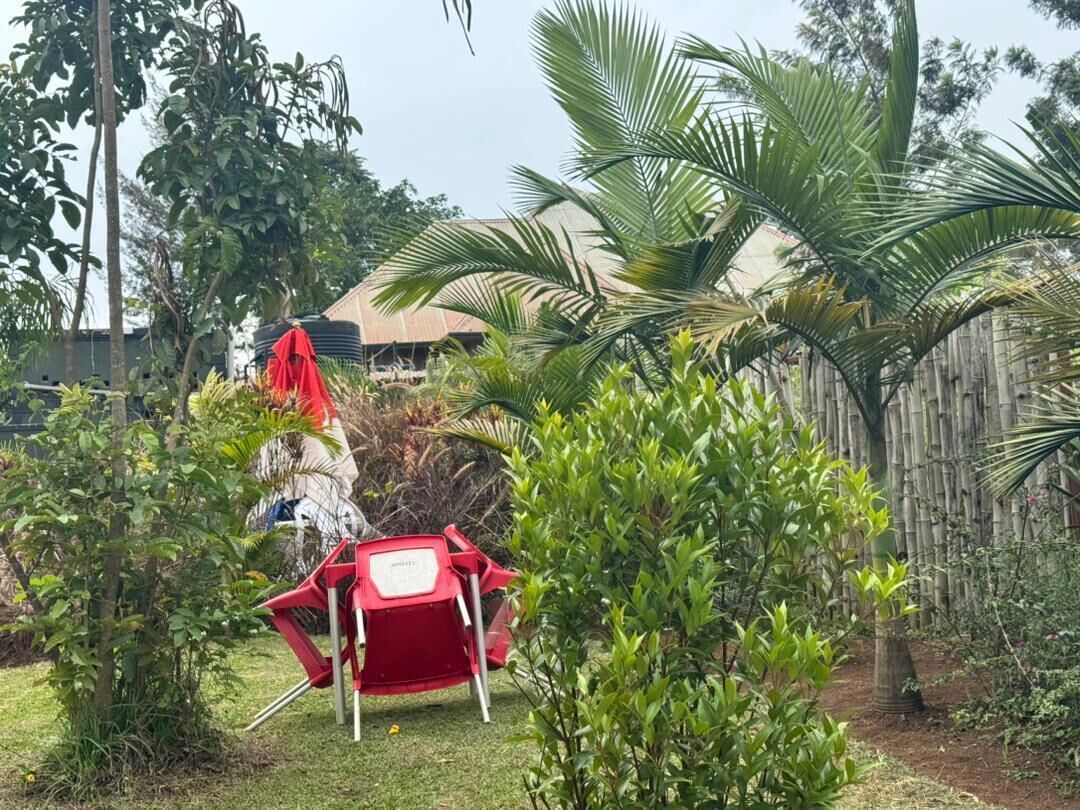 Um jardim com uma cadeira vermelha, cerca de bambu e diversas plantas.