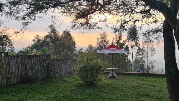 Un patio trasero con valla de madera, un arbusto pequeño y una mesa con sombrilla roja y blanca.