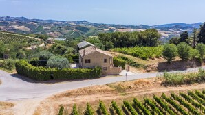 A rural landscape with a stone house surrounded by vineyards and rolling hills.