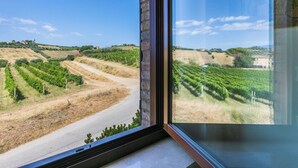 A vineyard view from a window with a stone wall and a clear sky.