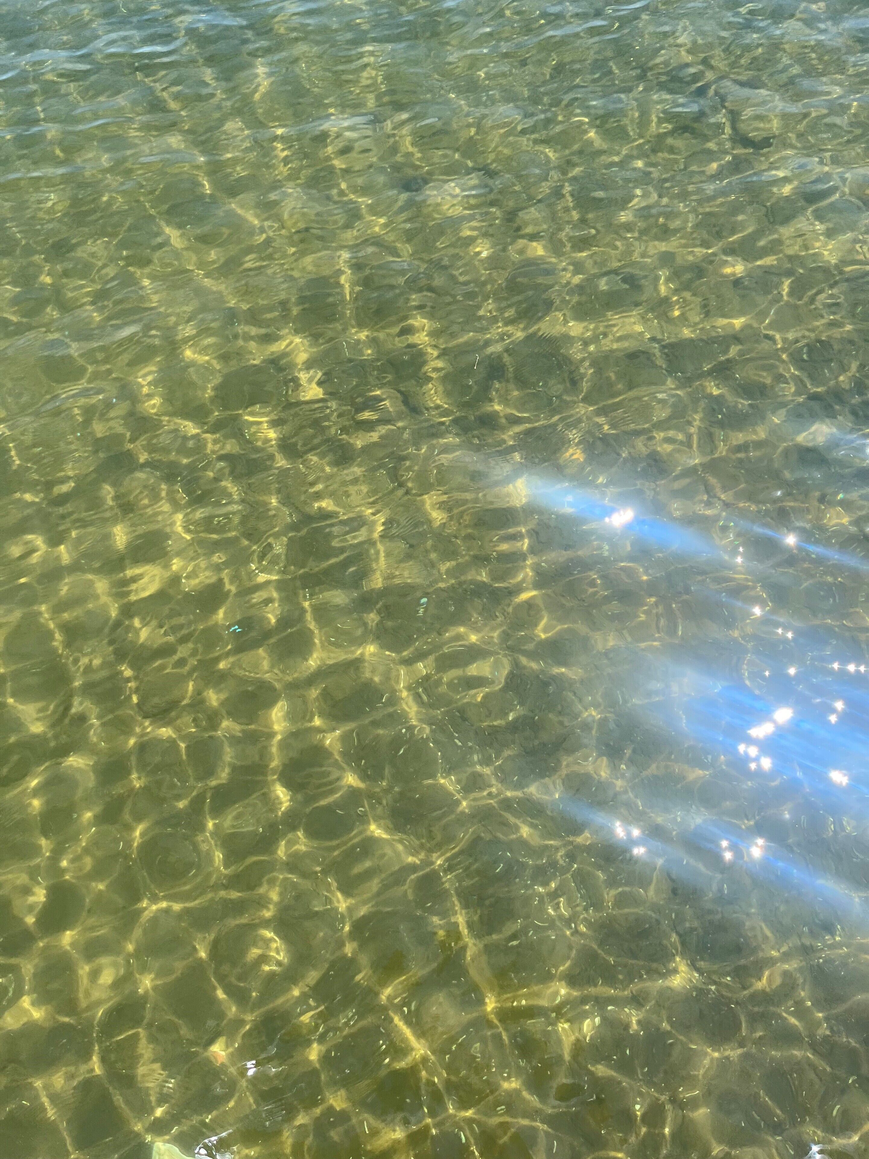 Helder water met zonlicht dat ervan weerkaatst.