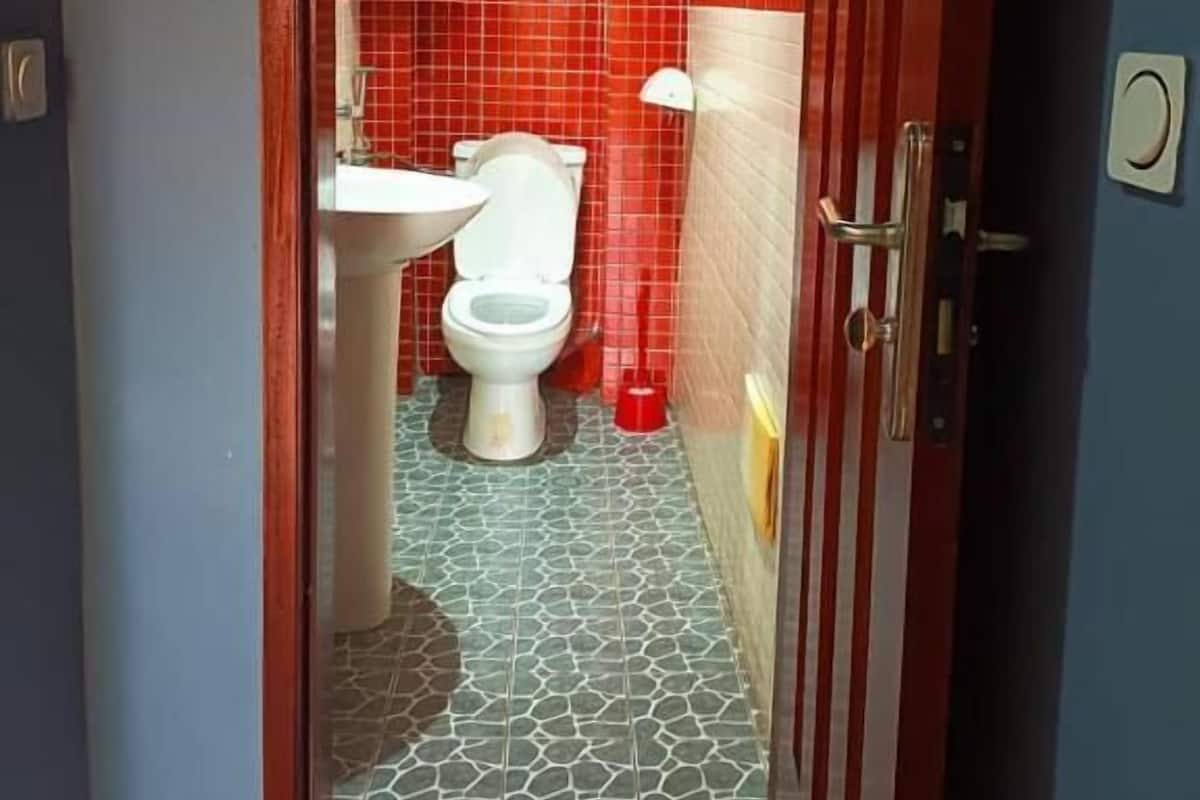 Shower, towels, soap, toilet paper