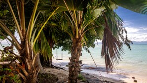 Escena de playa con palmeras y una vista despejada del océano.