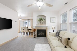 Smart TV, fireplace, books