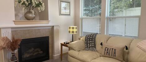 TV connectée, cheminée, livres